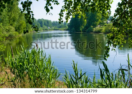 Summer pond with birch trees in Russia
