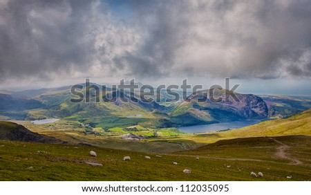 sheep on hill seen from mount snowdon
