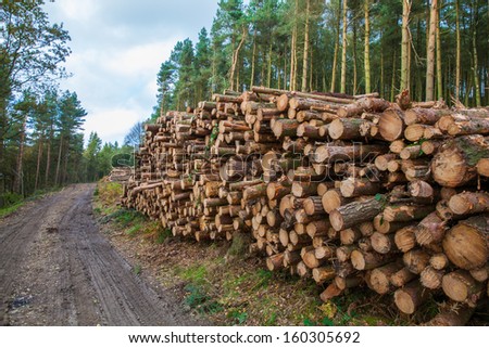 Logging in Derbshire Dales UK