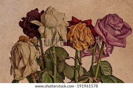 wilted flowers with a grunge background
