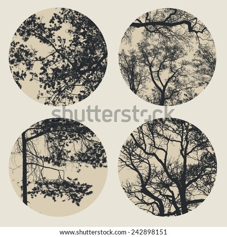 Similar – Image, Stock Photo Tree circuit Sky Branch