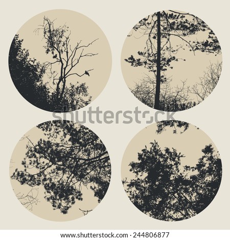Similar – Image, Stock Photo Tree circuit Sky Branch
