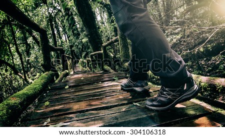 Journey by walking on wood bridge for a walk with many classified plant species  and big trees at upper hill evergreen forest use sun flare color and vintage tone filtered.