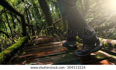 Journey by walking on wood bridge for a walk with many classified plant species  and big trees at upper hill evergreen forest use sun flare color filtered.