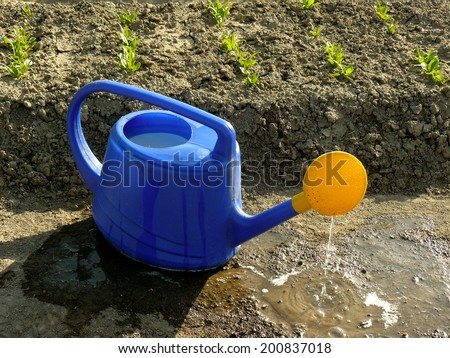watering can against vegetable bed