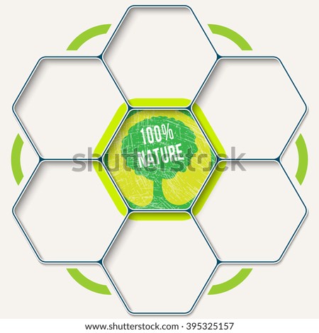 Set of seven hexagons for your text and tree symbol