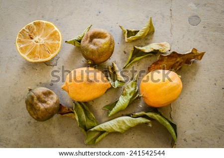 Over ripe lemons and limes and leaves on a cardboard surface with one lemon cut