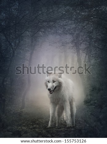White wolf in the night forest