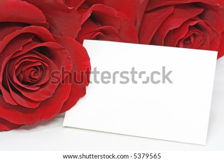 red roses with a blank note on white