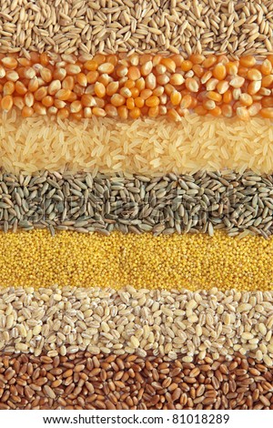 Cereals - ,wheat, barley, millet, rye, rice,maize and oats