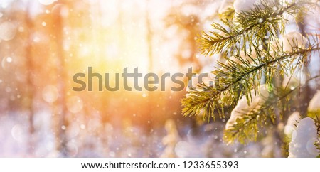 Similar – Image, Stock Photo Sunrise in a snowy park