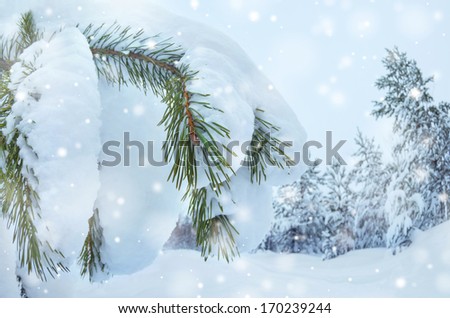 Winter Landscape with snow covered trees