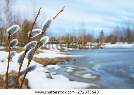 Similar – Foto Bild Frühling Schmelzen Fluss Überschwemmung Luftbild-Panorama. Überlaufwasser im Frühling