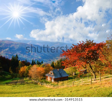 Picturesque autumn rural landscape with a tree with red leaves, clouds sky and old hut in autumn (relaxation - concept)