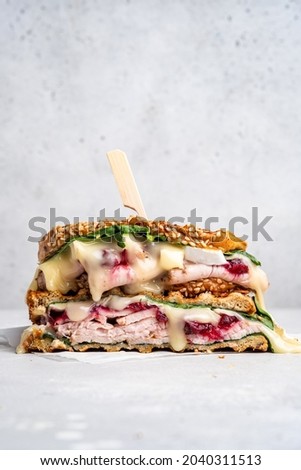 Fresh Homemade Turkey Sandwich with brie cheese, spinach and cranberry sauce Сток-фото © 