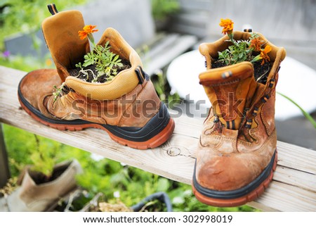 orange flowers planted in two old boots