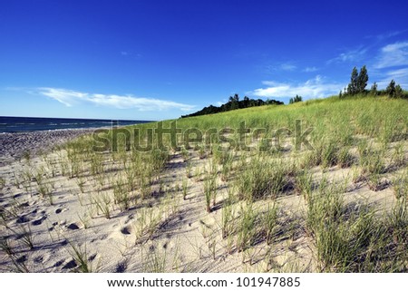 Sand Dunes by the shore of Lake Michigan in Michigan, USA.
