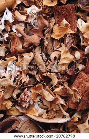 Dried plants background