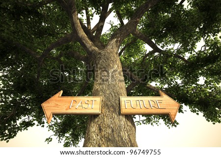 past future arrow sign in a tree. a symbol for global warming to protect the earth with trees