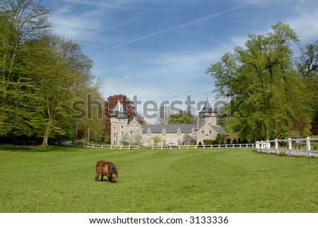 castle in belgium with a little pony in a meadow