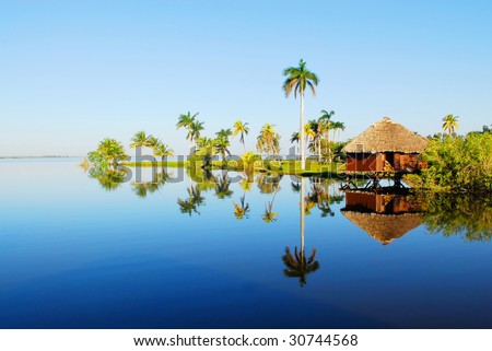 Romantic bamboo cottage and palm trees in Zapata swamp area on caribbean island Cuba