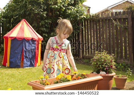 Pre-school child in a sunny garden, touching flowers in a tub