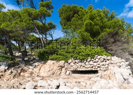 Similar – Image, Stock Photo Bunker remnants with tree remnants