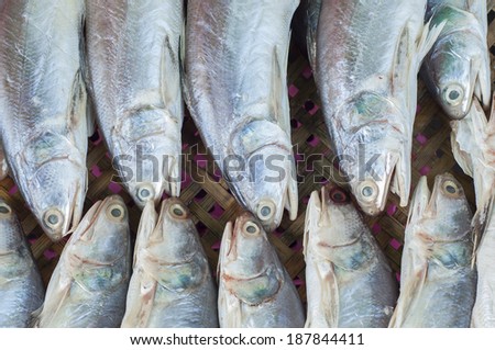 Dry preserved silver fishes in seafood market.