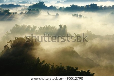 sunshine on the morning mist with bamboo and hill