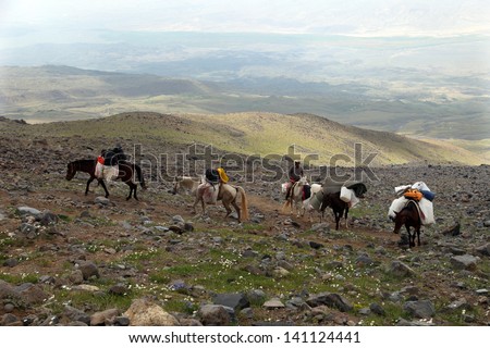 MOUNT AGRI, TURKEY - JULY 14: Porters and horses climbing to 4200 meters camp, July 14, 2012 in Agri, Turkey. Mount Agri is the highest mountain in Turkey and it is believed that Noah Ark is there.