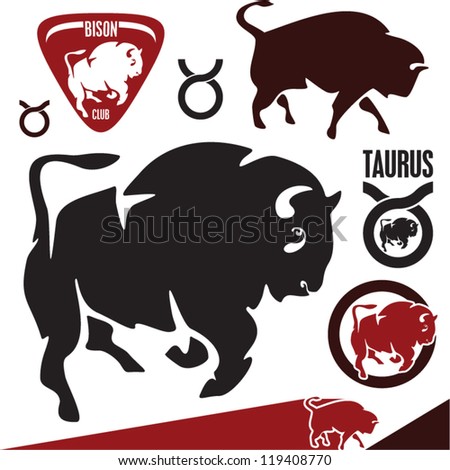 Buffalo. Bison. Taurus.