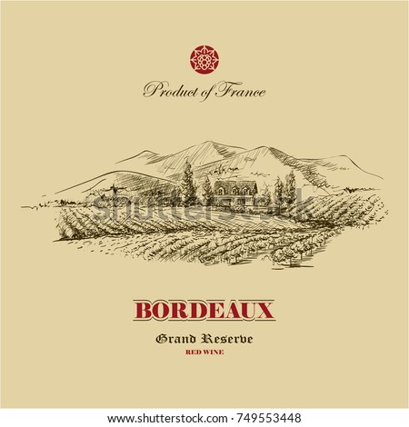 vineyard landscape hand drawn illustration, wine label design template