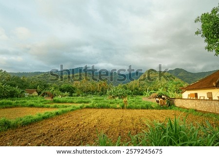 Foto Bild Ackerland umgeben von grünen Bäumen