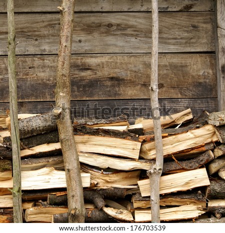 Dry woodpile in the yard