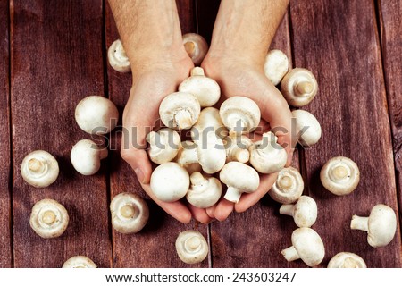 A lot of mushrooms in the hands of men. Products for cooking. Chef\'s table. Kitchen table, man\'s hands and mushrooms.