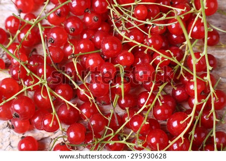 Macro photo. Macro berries. Lots of red currant. Fresh berries on the table. Harvesting of berries, a farmer, a gardener. Juicy red currant. Juicy berries.