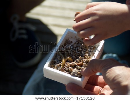 worms in a container, preparing to go fishing