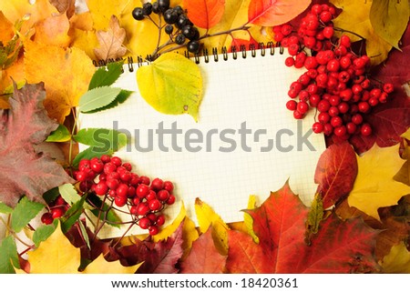 background from autumn leaves and writing-book
