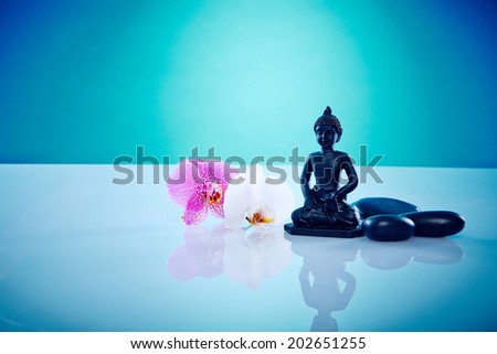 Buddah with hot stones and orchis. Image of a buddah with hot stones, works perfect for spirituality, relaxation or massage.