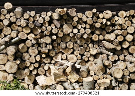 wood rings as natural background, stump stack, pine wood trunks