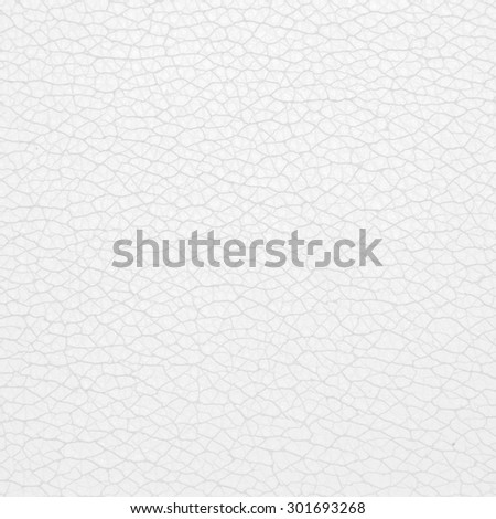 white background leather texture abstract lines pattern