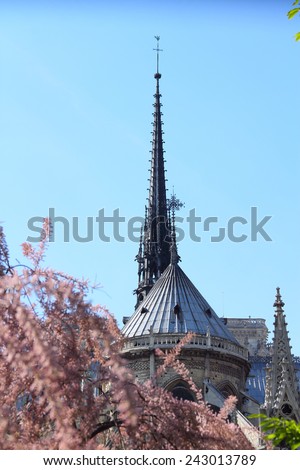 Cathedral Notre Dame de Paris on Cite island in Paris, France