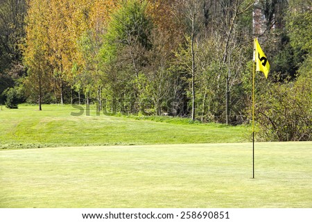 Golf flag on field and trees on background