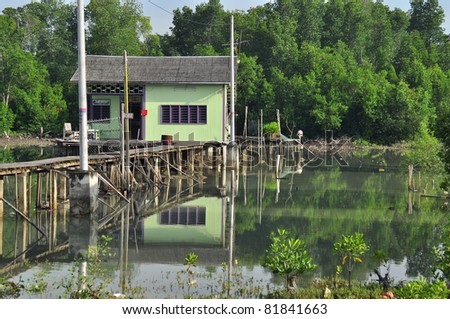 wooden houses build on the swamp land