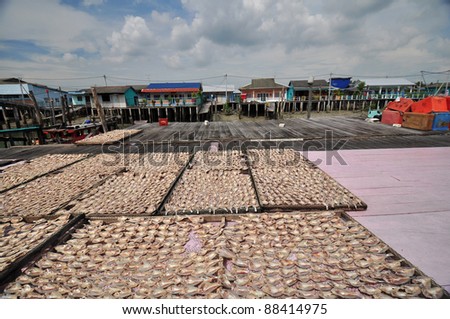 drying salty fishes in the fishing village