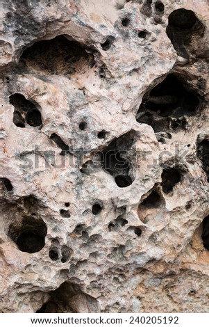 large stone with holes close up