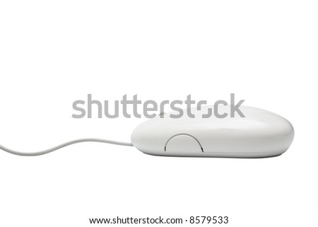 The mouse with a wheel on a white background