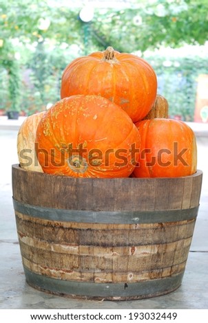 Pumpkins in wooden bucket on table