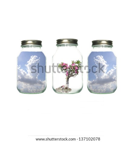 sky and flowers in bottle for sell white background
