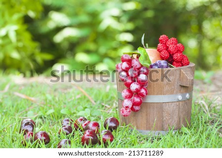 Fruits  in the Basket on green fields.